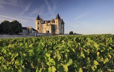 《莞飲莞食》攜法國(guó)紅酒做客上東國(guó)際_新浪地產(chǎn)網(wǎng)