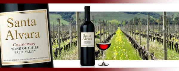 當(dāng)日特價(jià)兩個(gè)月銷(xiāo)量的TOP8產(chǎn)品排名出來(lái)了!冠軍居然不是法國(guó)葡萄酒,就是。